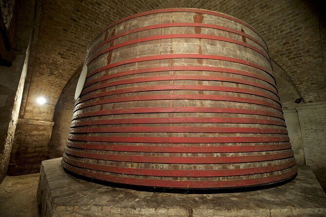 Private Food and Wine Tour in the Cellar with Tastings - The Itinerary: From Vineyards to Barrel Cellars