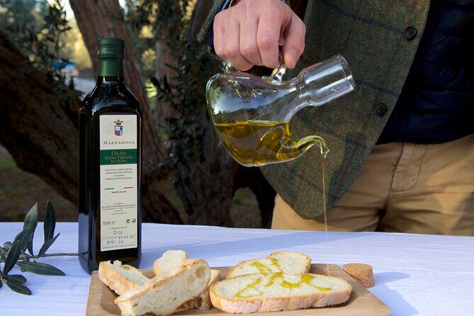 Private Food and Wine Tour in the Cellar with Tastings - The Authentic Experience: Beyond Just Tasting