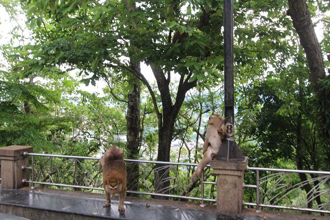 Private food Tour + Sightseeing +Thai Cooking class - The Sum Up