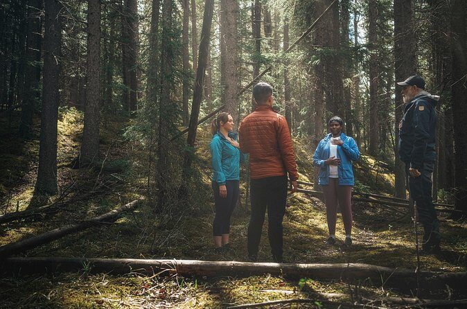 Private Forest Bathing Experience Connect with Nature - The Bottom Line