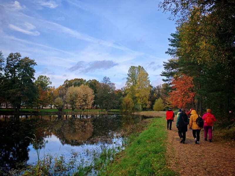 Private Forest Mind Tour in Tampere - Key Points