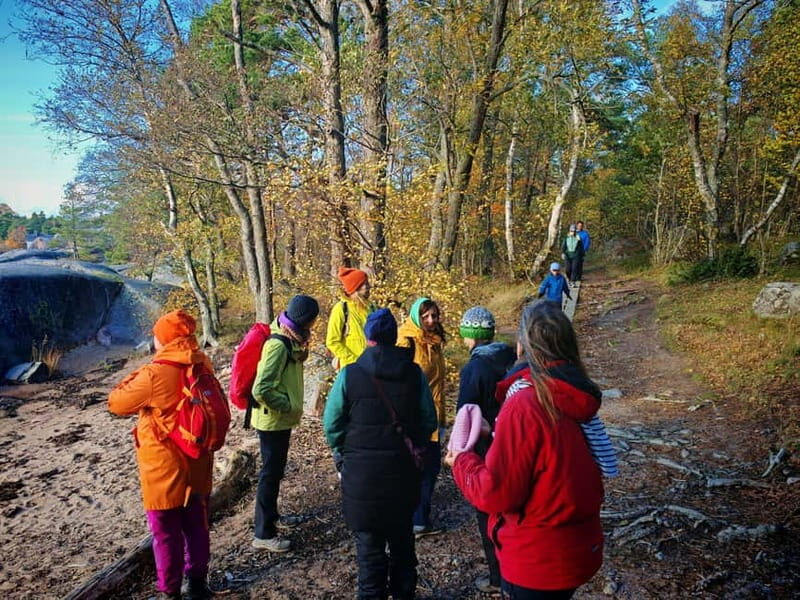 Private Forest Mind Tour in Tampere - A Detailed Look at the Forest Mind Tour
