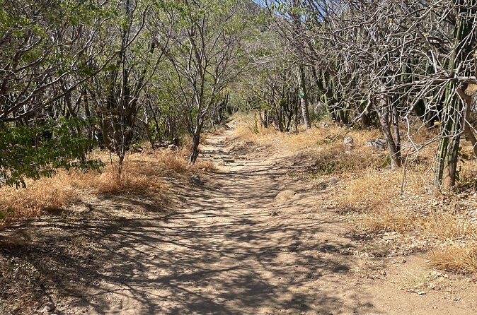 Private Fox Canyon plus Sol de Mayo Waterfall Tour - FAQ