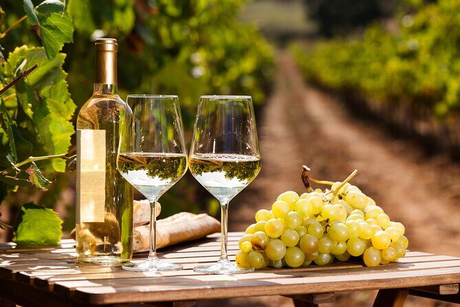 Private Frascati Day Trip With Lunch & Wine Tasting in a Vineyard - What Sets This Tour Apart?