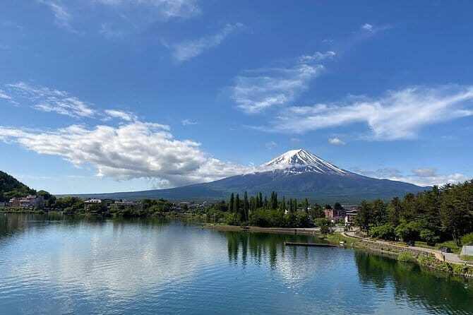 Private Fuji Half-day Tour with Hotel Pickup and Japanese guide - Final Thoughts