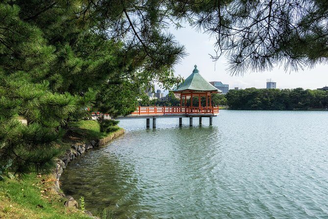Private Fukuoka Tour with a Local, Highlights & Hidden Gems 100% Personalised - Final Thoughts