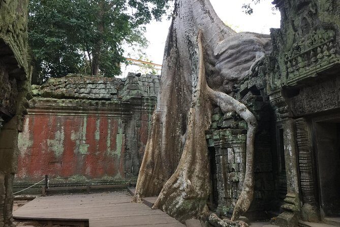 Private Full 3 Days Angkor Sunrise Sunset Tour - Final Thoughts