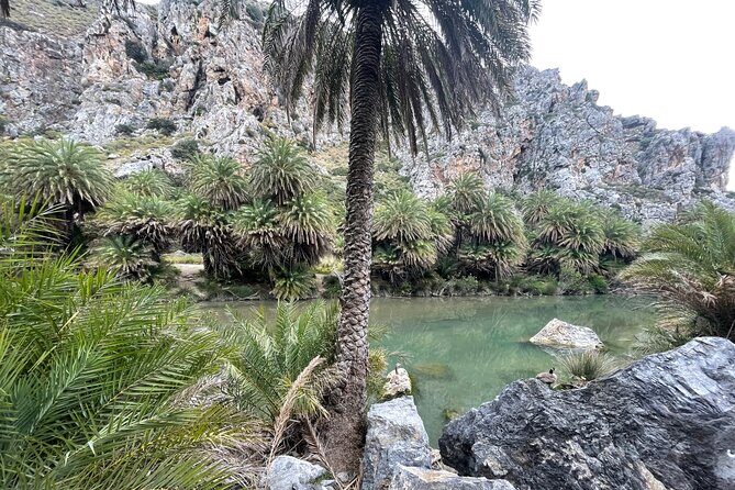 Private Full-Day Adventure: Preveli, Waterfalls & Kalypso Beach - Who Would Love This Tour?