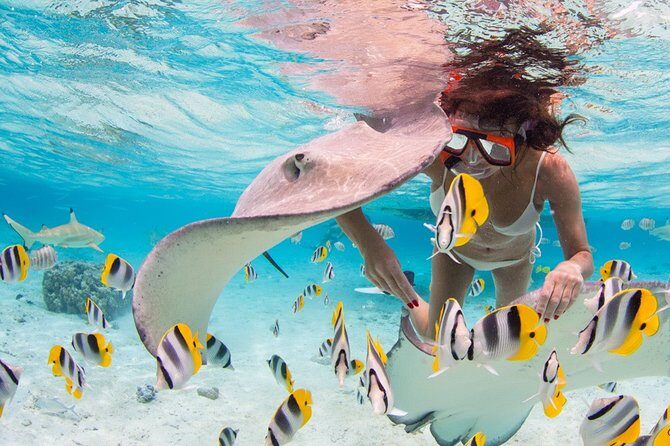 Private Full Day Aquatic Photo Tour + Resort Photo-Shoot (All inclusive) - What Makes the Photos Special?