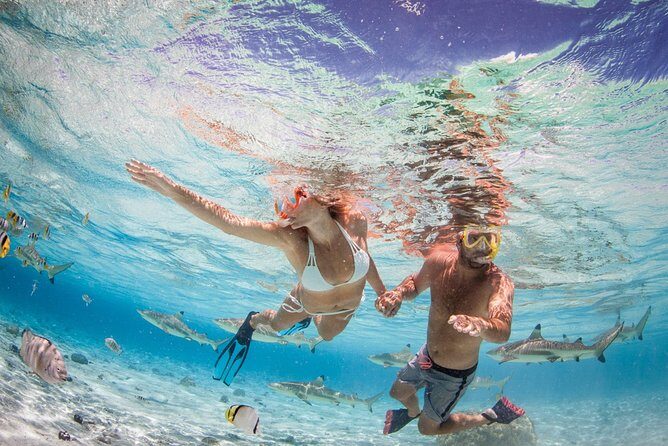 Private Full Day Aquatic Photo Tour + Resort Photo-Shoot (All inclusive) - Final Thoughts