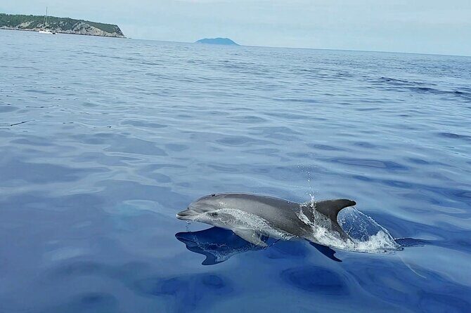 Private Full Day Boat Tour from Trogir - Create Your itinerary - An In-Depth Look at the Experience
