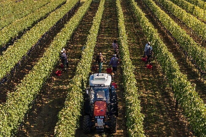 PRIVATE Full-Day Brunello Wine experience from Florence - Why This Tour Is Best for Who?