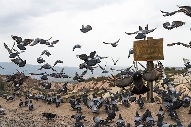 Private Full-Day Cappadocia Tour - A Deep Dive into Cappadocia’s Highlights