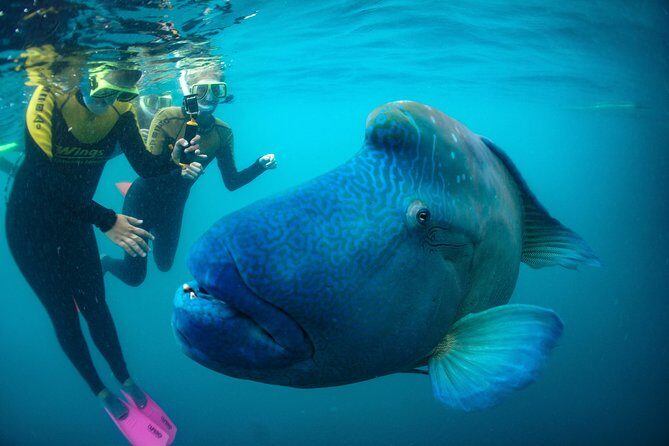 Private full day catered & crewed yacht charter- Airlie Beach - Who is This Tour Best For?