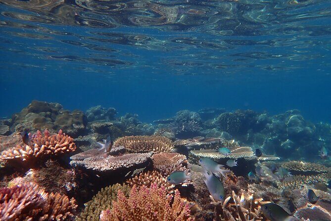 Private full day catered & crewed yacht charter- Airlie Beach - The Sum Up