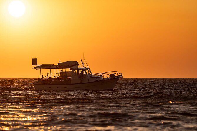 Private Full Day Cruise from Pollonia to Polyaigos - Practical Details and Considerations