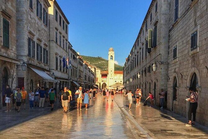 Private Full-day Dubrovnik and Ston Tour from Split - A Deep Dive into the Tour Experience