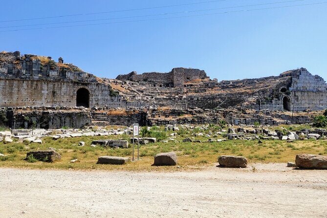Private Full-Day Ephesus Tour with Miletus and Didyma for Cruise Guests - Exploring the Private Full-Day Ephesus, Miletus, and Didyma Tour: A Deep Dive