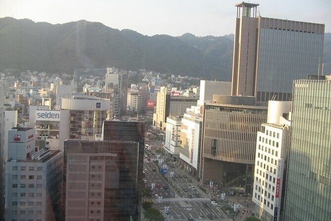 Private Full-Day Guided Tour in the City of Kobe - The Sum Up