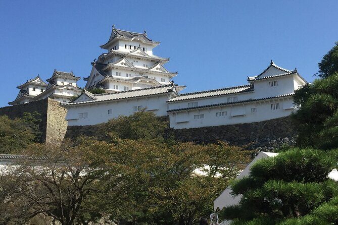 Private Full-Day Guided Tour of Himeji and Kobe - Key Points
