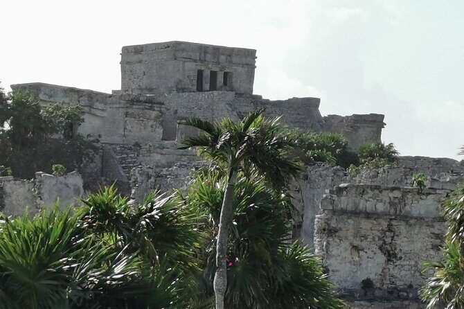 Private Full-Day Guided Tulum Coba and Cenote Tour with Lunch - What Makes This Tour Stand Out?