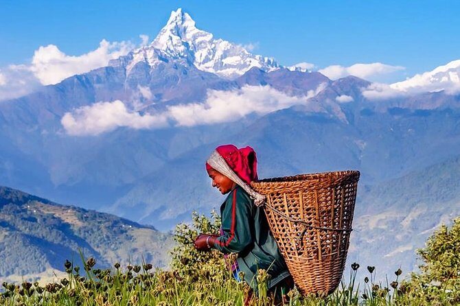 Private Full-Day Hike in the Annapurna Foothills in Pokhara - A Detailed Look at the Full-Day Annapurna Foothills Hike