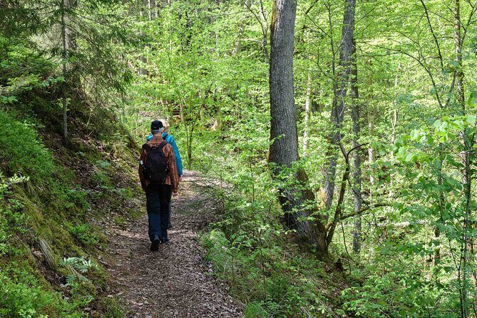 Private Full-Day Hiking Tour in Sigulda and Gauja National Park - Key Points: