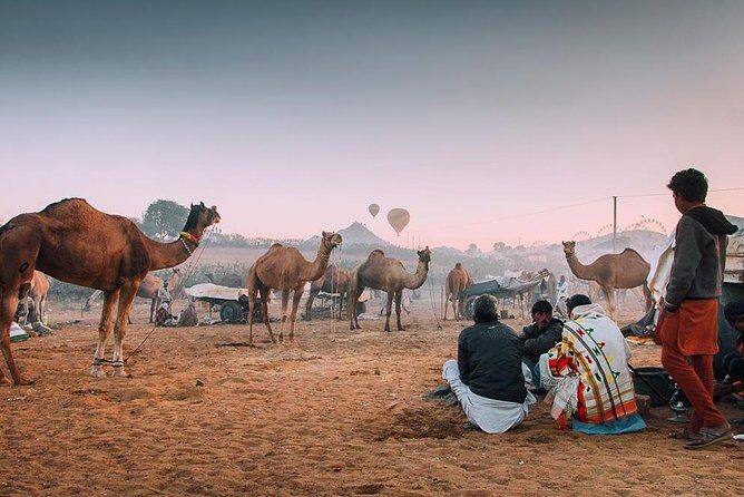 Private Full Day Jaipur Sightseeing Tour By Tuk-Tuk (Rickshaw) - A Deep Dive into the Jaipur Tuk-Tuk Tour