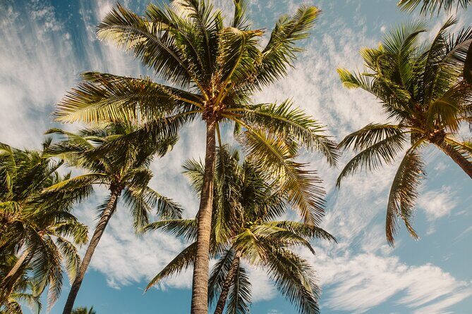 Private Full-Day Lagoon Adventure in Bora Bora with BBQ Lunch - The Review Highlights: Why Travelers Love It