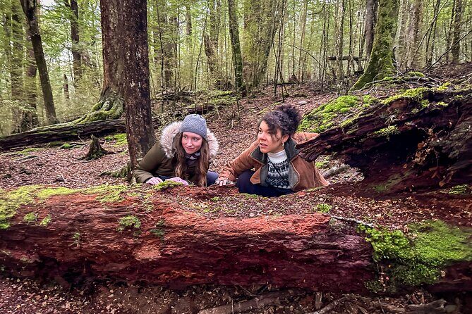 Private Full Day Lord of the Rings Mavora Lakes Adventure! - In-Depth Look at the Itinerary