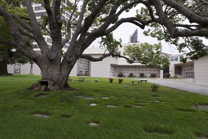 Private Full Day Los Angeles Tour with a Historian and Naturalist - Who Is This Tour Best For?