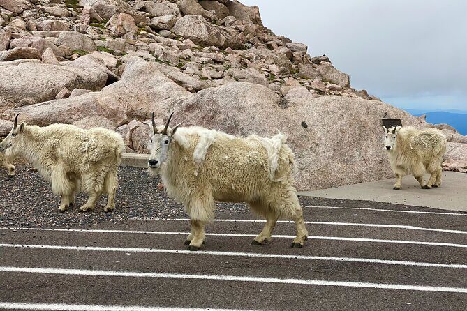 Private Full-Day Mount Blue Sky & Red Rocks Tour from Denver - The Iconic Mount Blue Sky Scenic Byway