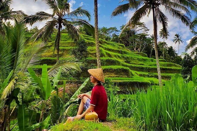 Private Full - Day Nusa Penida Island Tour - The Sum Up