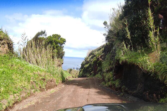 Private Full day Off Road Tour in Azores - What Reviewers Say