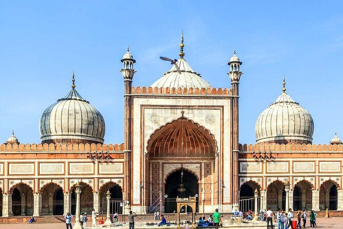 Private Full Day Old and New Delhi City Tour - Who is This Tour Best For?