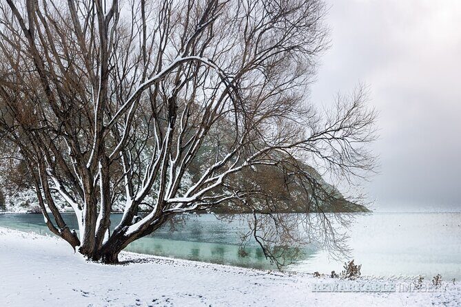 Private Full Day Photography Tour in Queenstown - Follow the Gold - The Value of This Tour