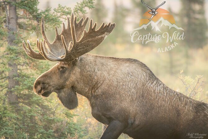 Private Full Day Photography Workshop of Fairbanks - The Itinerary Breakdown