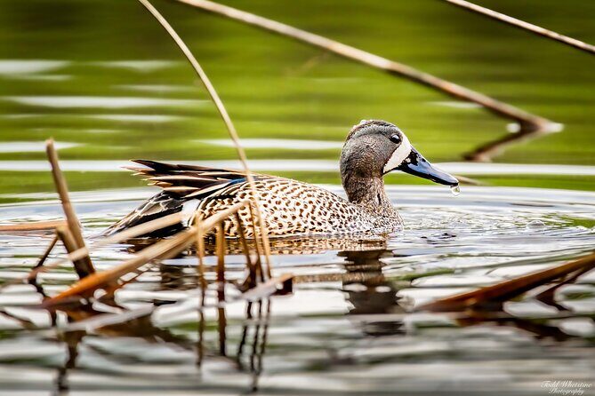 Private Full Day Photography Workshop of Fairbanks - The Price: Is It Worth It?