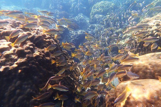 Private Full-Day Red Dragon Yacht to Angthong National Marine Park - Potential Drawbacks or Considerations