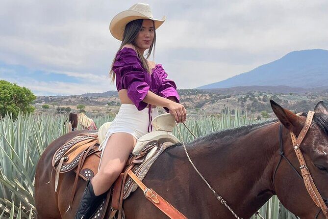 Private Full-Day Ruta del Tequila Tour: Safe & Expert-Guided - The Itinerary in Detail