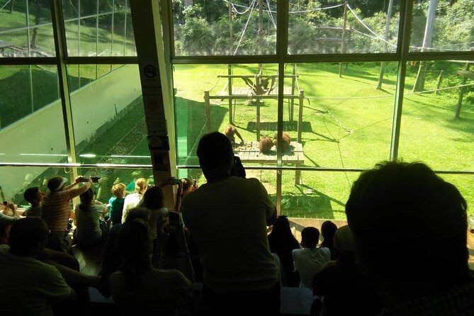 Private Full Day Sepilok Orang Utan, Bornean Sun Bear and Rainforest Discovery Center Tour - Transportation, guides, and logistics