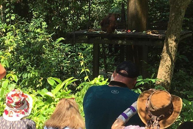 Private Full Day Sepilok Orang Utan, Bornean Sun Bear and Rainforest Discovery Center Tour - Practical Tips for Your Trip