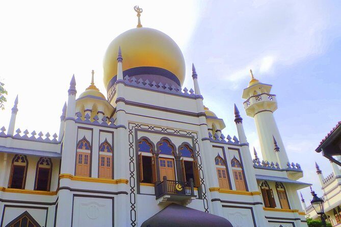 Private Full Day Singapore City Tour with Professional Tour Guide - A Deep Dive into the Tour Experience