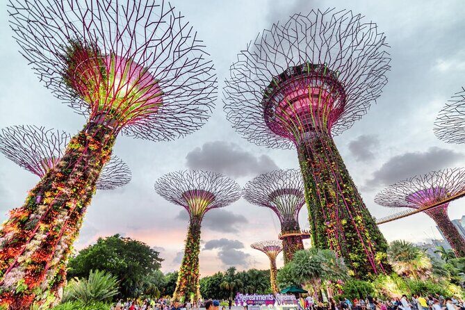 Private Full Day Singapore Highlights Tour - The Sum Up