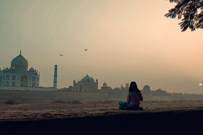 Private Full-Day Taj Mahal and Agra Fort Tour from New Delhi - An In-Depth Look at What This Tour Offers