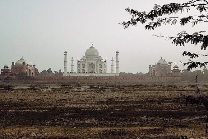 Private Full-Day Taj Mahal and Agra Fort Tour from New Delhi - The Sum Up