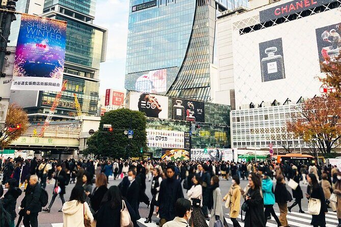 Private Full-day Tokyo Walking Subway Tour by Japan Gray Line - The Sum Up