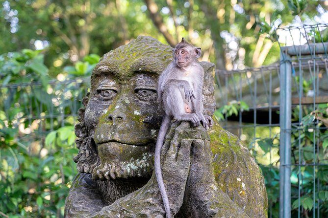 Private Full-Day Tour: Balinese Temples and Rice Terraces - FAQ