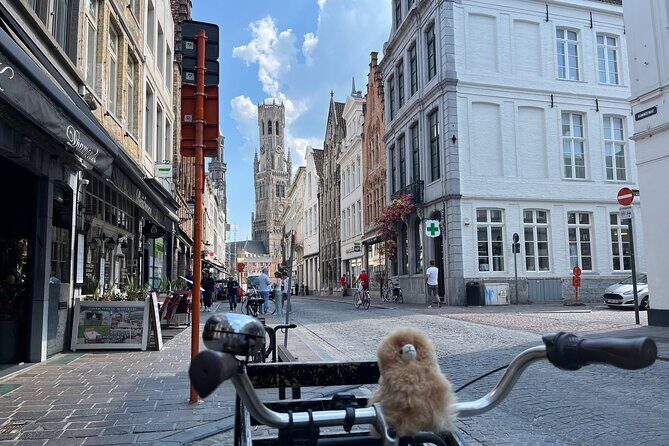 Private Full-Day Tour Bruges & Ghent from Brussels with tastings - Transportation & Comfort