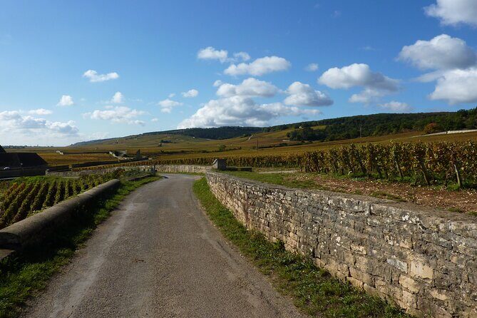 Private Full Day Tour Burgundy Gourmet - Experience a Gourmet Journey Through Burgundy with a Private Full-Day Tour
